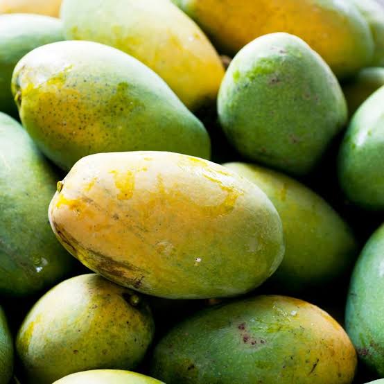 Sindhri Mango