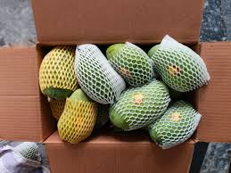 Gift Pack