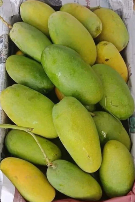 Mango Box