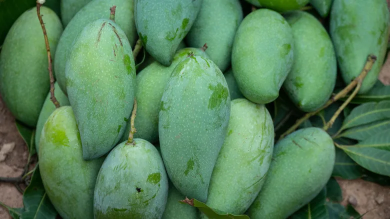 Dusehri Mango 5Kg Box