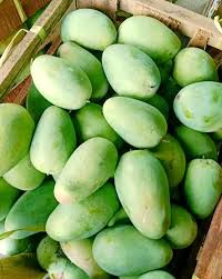 Langra Mango 10Kg Box